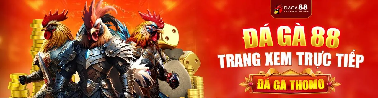 Quy trình khiếu nại và giải quyết tranh chấp công bằng tại mybet88