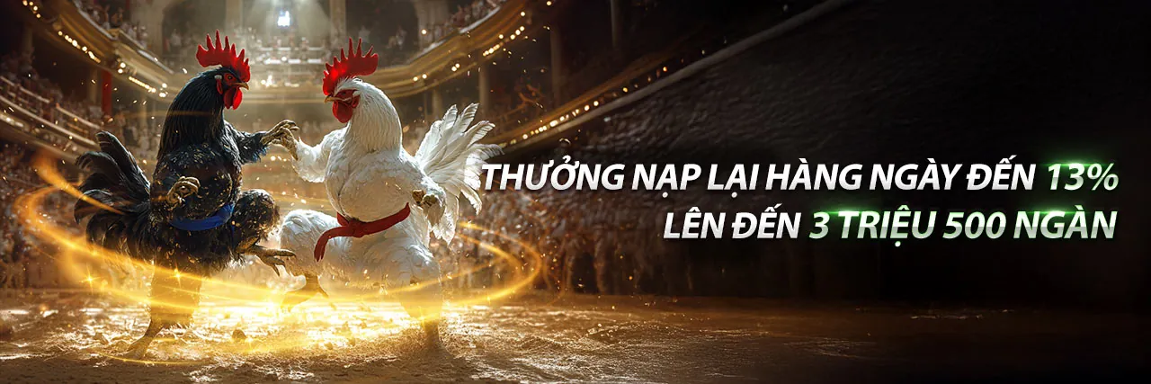 Đá gà trực tuyến mybet88